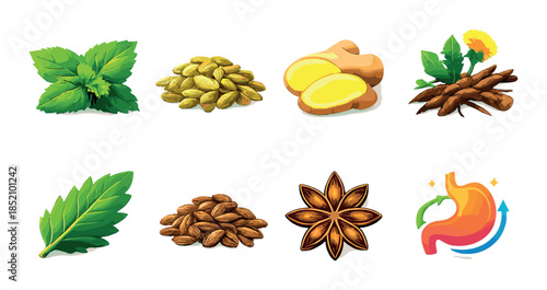 Herbal ingredients for digestive health: mint, cardamom, ginger, licorice, bay leaf, cumin, star anise