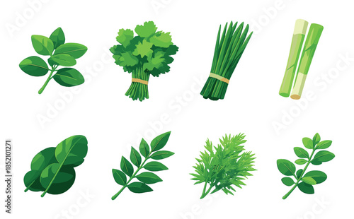 Assorted fresh green herbs on vibrant background