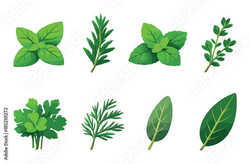 Variety of fresh green herbs on green background