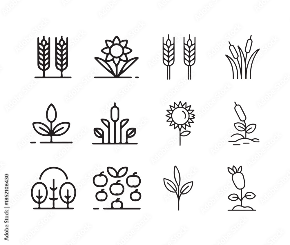 Fototapeta premium Collection of twelve outlined agriculture icons, including wheat, sunflowers, and various plants