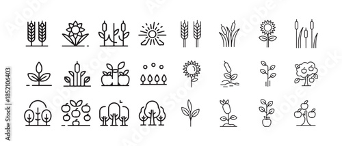 Set of agricultural and nature icons including plants, fruits, and trees for design