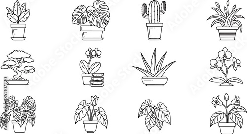 Collection of twelve unique potted houseplants in a flat design style, perfect for illustration and decorative purposes