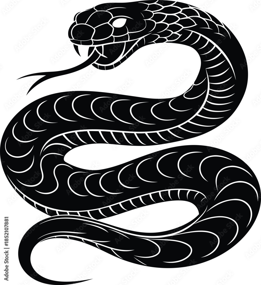 Obraz premium snake on a black background