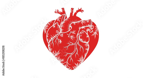 Anatomical heart illustration with detailed veins and arteries, symbolizing life, health, and cardiology in a bold red and white design