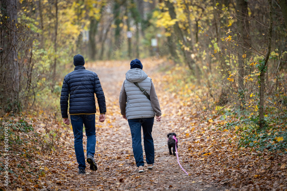 Fototapeta premium Couple walks with dog on autumn trail