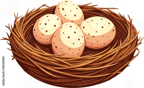 Eggs in bird nest illustration isolated on white background, spring nesting concept clipart