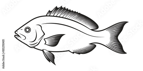 Vintage Fishing Fish engraving outline vector art illustration design, Fish silhouette, hand drawn, line art fish design