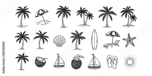 	
palm trees on the beach engraving outline vector art illustration design, palm tree silhouette, hand drawn beach drawing, line art palm tree, sea, beach, summer view, vintage palm tree on sea beach