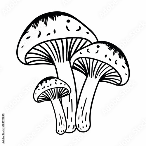 Illustration of three mushrooms with varying sizes in a minimalist black and white style