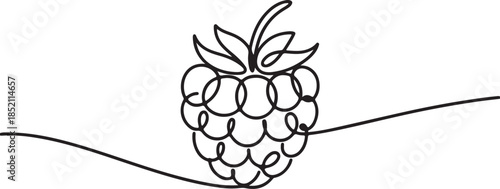 One line raspberry fruit silhouette vector minimal berry drawing illustration