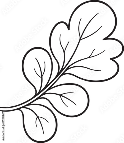 Herb parsley leaf silhouette vector outline illustration for botanical design projects