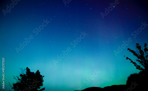 northern lights shining over trees and mountains in Idaho sky