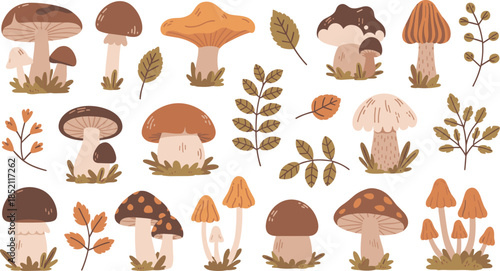Autumn Mushroom Illustration Set with Forest Fungi Leaves and Botanical Elements Flat Vector Design