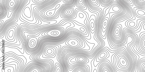 Abstract white wave paper curved reliefs background. Vintage outdoors style. Geographic abstract grid. Geographic curved, vector illustration. seamless path isolated on a white background.