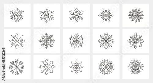 Elegant black and white snowflake patterns with intricate designs and symmetrical shapes