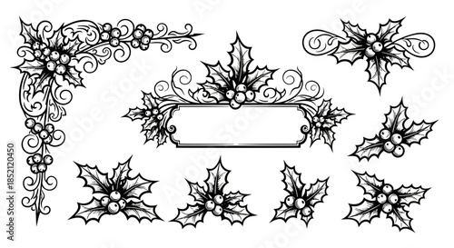 Elegant black and white floral and leafy decorative elements with swirls and scrolls for design projects