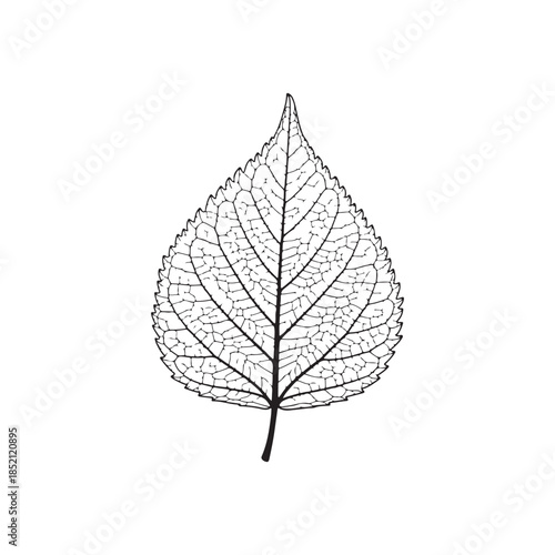 Vector file graphic design element for digital use