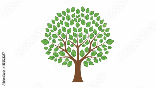 Symmetrical and stylized illustration of a tree with a perfectly round, dense canopy of green leaves, symbolizing harmony and nature.