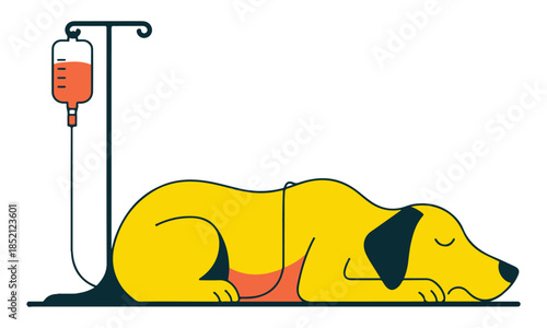 Dog receiving medical treatment