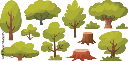 Various types of trees and stumps