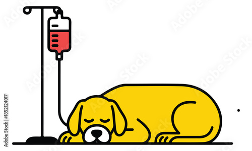 Dog receiving iv treatment