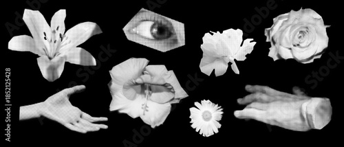 Surreal monochrome cut-out collage set, grayscale flowers, hands, detailed human eye, halftone texture,  vintage zine aesthetic, abstract sticker editorial composition.