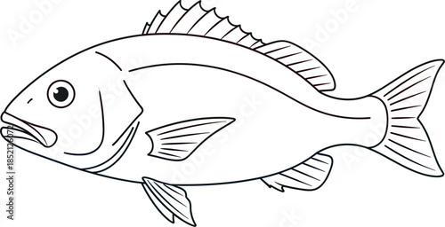 Simple vector file illustration