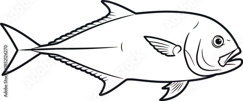 Empty vector file display