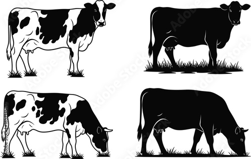 Four Black And White Illustrations Of Cows Standing And Grazing On Grass Keywords: cow, cattle, livestock, farm, farming, animal