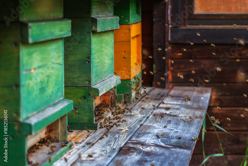 Geschäftiges Treiben am Bienenstock