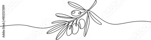 Continuous Line Drawing of Olive Icon. Hand Drawn Symbol Vector Illustration, Olive Brunch Vector Illustration. Fruit, Green, Mediterranean Cuisine, Olive Oil, Aroma. one line Icon drawing
