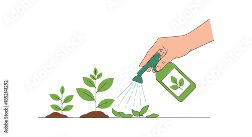 A hand waters small plants with a spray bottle, showing the stages of plant growth from a seedling to a more developed plant.