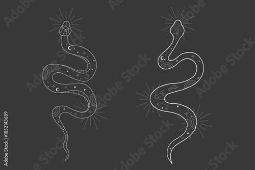 Celestial kundalini snake set magic line tattoo. Boho mystic snake with moon stars. Black serpent silhouette.symbol of spiritual awakening, vitality and inner peace.