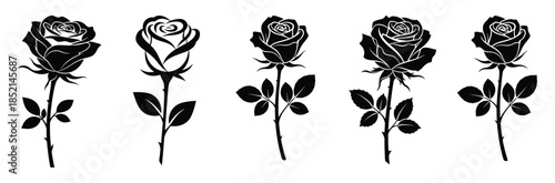 Elegant black rose silhouettes for design and decoration