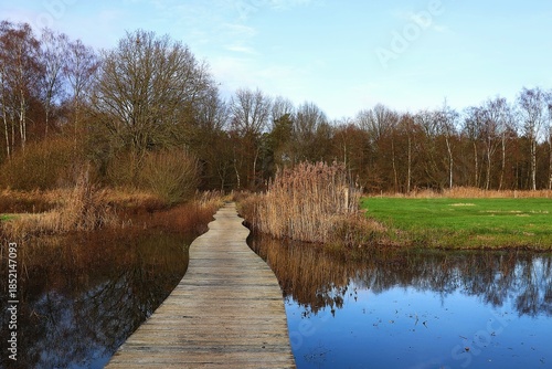 Landscape with a boardwalk in the Olens Broek-Langendonk nature reserve. Walk in Olen and Herentals, Belgium.