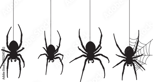 Silhouettes of four spiders of varying sizes, one with a web, suspended by thin threads against a white background, symbolizing Halloween and arachnids also transparent background