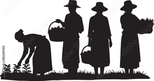 A group of four women in silhouette, one bending to tend plants and three standing with baskets of produce, representing harvesting also transparent background