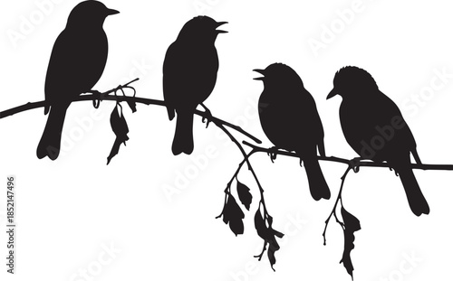 A horizontal composition of four black bird silhouettes perched on a thin branch with a few dangling leaves, depicting a serene natural scene with avian life in silhouette also transparent background