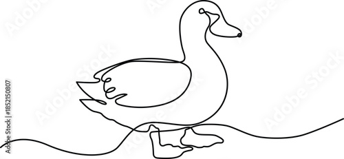 Graceful duck by water Vector