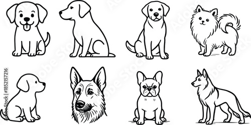 Collection of Dog Breeds Line Art Illustrations