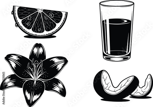 Black and white illustration set, citrus slice juice glass flower and fruit segments, minimal silhouette icons, isolated on white background