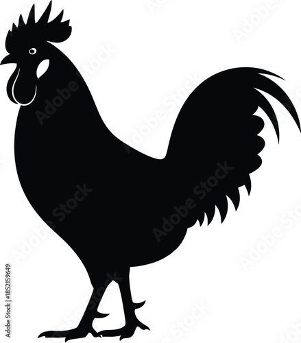 Silhouette of a rooster on white background