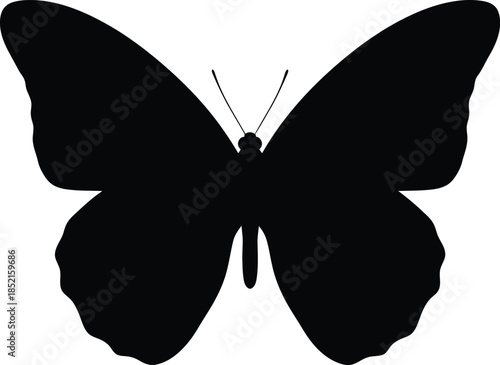 Silhouette of a butterfly with spread wings on white background