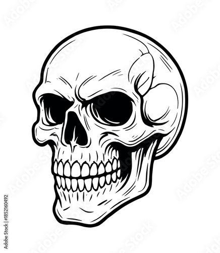 Skull design, flat vector illustration, skeleton, cranium, vintage art style