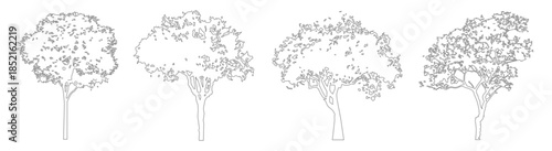 CAD Vegetation Line Drawings, Minimal Side View Trees for Architectural and Landscape Planning