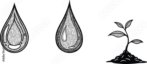 Black and white ink drawing of water drops and growing plant droplet liquid