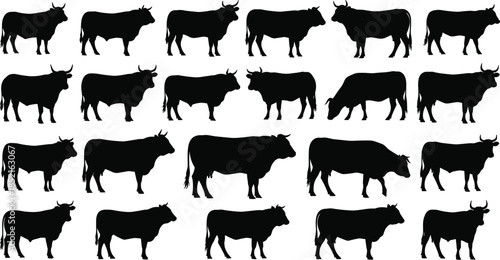 Black silhouettes of various cows and bulls standing and grazing cattle livestock
