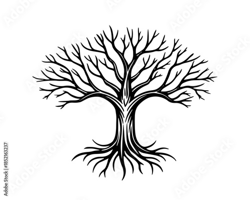Simple drawing of a Tree of Life. Vector for laser engraving. AI generated.