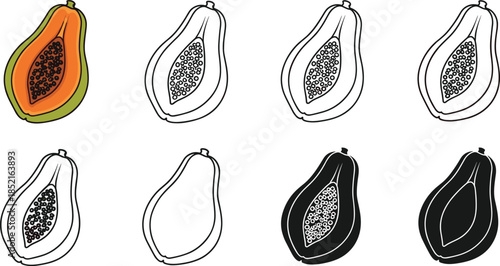 Papaya fruit halves and outlines in various styles on white background tropical food