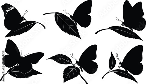 Six black butterfly silhouettes on leaves vector graphic white leaf